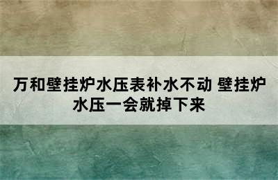 万和壁挂炉水压表补水不动 壁挂炉水压一会就掉下来